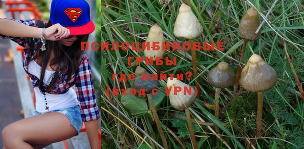 a pvp Богданович