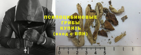 ГАЛЛЮЦИНОГЕННЫЕ ГРИБЫ Богородицк