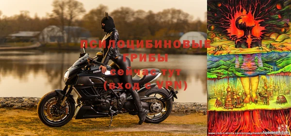 a pvp Богородск