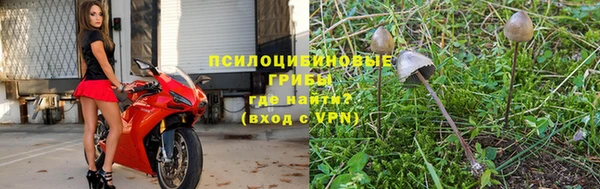 ГАЛЛЮЦИНОГЕННЫЕ ГРИБЫ Богородицк