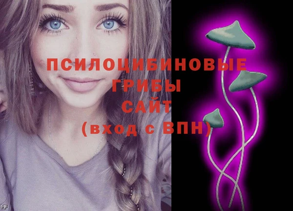 ГАЛЛЮЦИНОГЕННЫЕ ГРИБЫ Богородицк