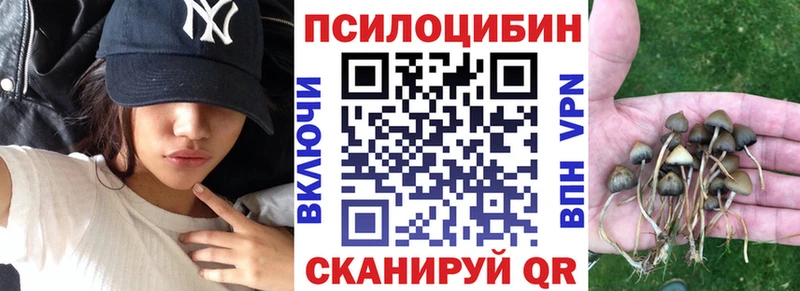 Псилоцибиновые грибы мухоморы  Козловка 